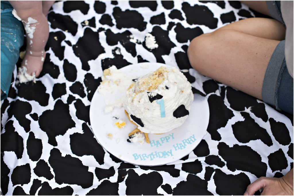 Camden Event Photography, Camden Family Photography, Camden Children Photography, Angie Duncan Photography, www.angieduncan.com.au